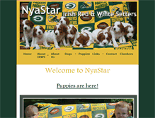 Tablet Screenshot of nyastar.com